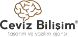 Web Tasarım & Web Yazılım
